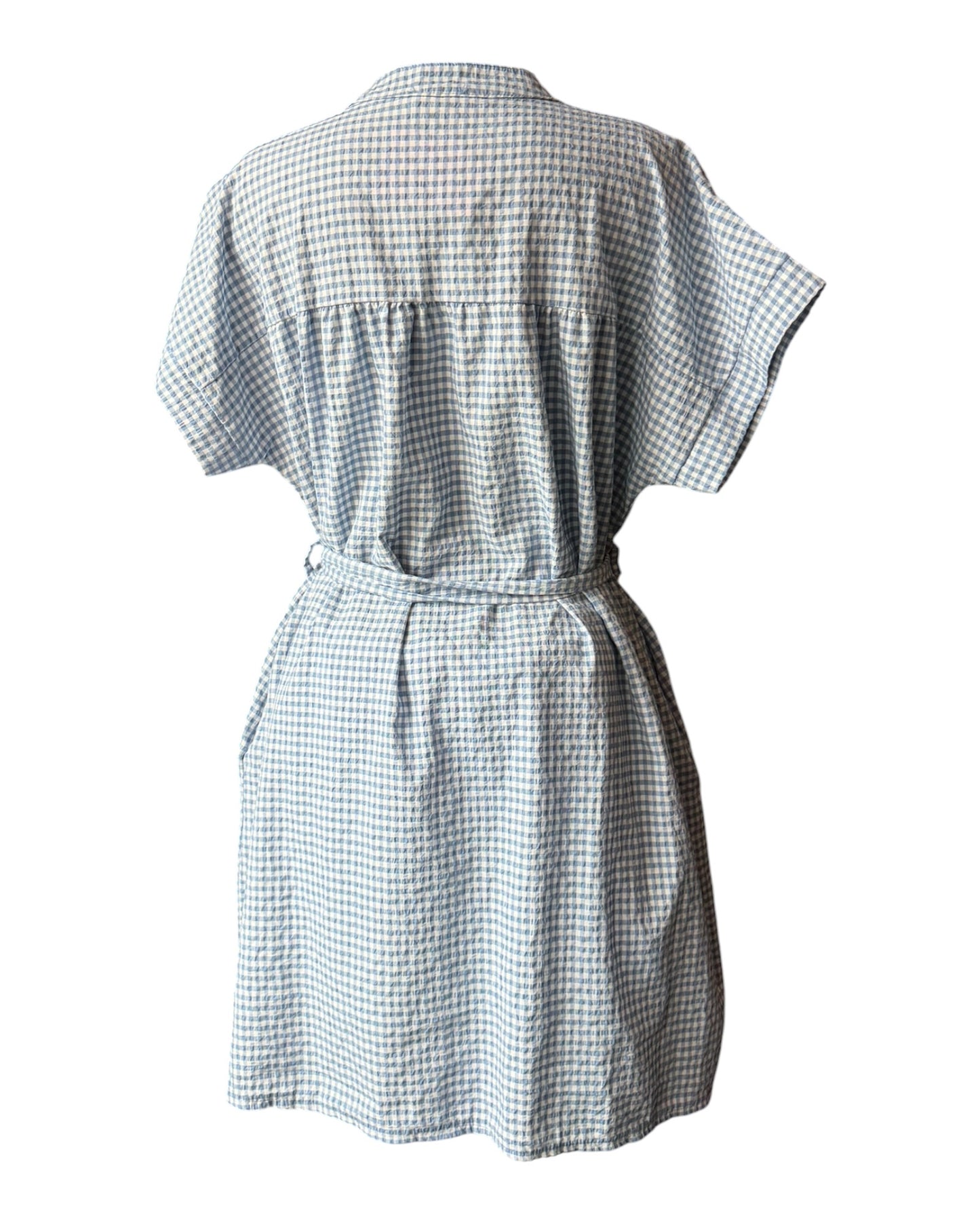 Gia gingham check short shirt dress - blue