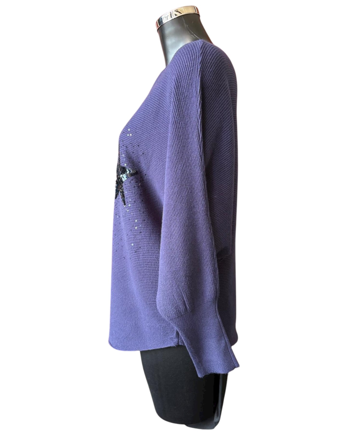 Veronica ribbed sparkle stars jumper - Navy